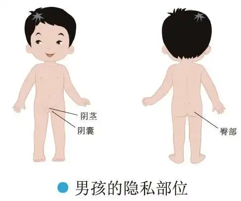 用爱天天陪伴你 写美篇  第二步:让孩子学会男孩女孩身体的隐私部位的