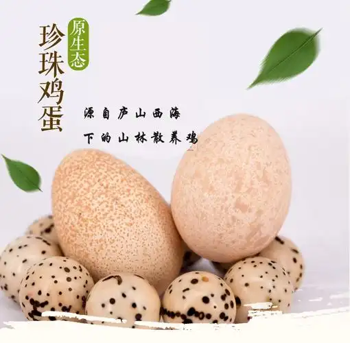 包邮珍珠鸡蛋生态散养203060枚新鲜土鸡蛋农家鸡蛋益智