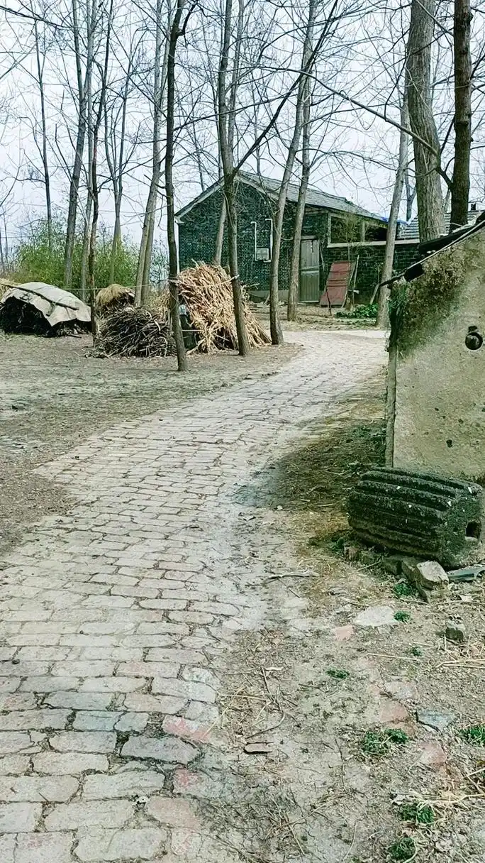 生活是条难走的路,一路走来,坎坎坷坷,有喜有忧,也有失落,饱 - 抖音