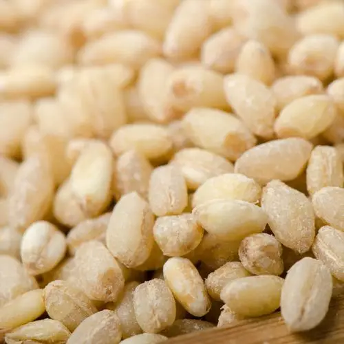 新鲜农家自产小麦粒颗粒有机胚芽***燕麦仁杂粮麦芽米仁1