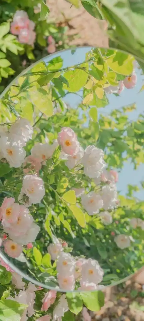 5.12壁纸 | 绝美的一组小清新壁纸,是心动的感觉