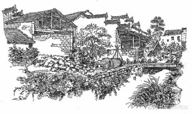 浓绿与黑白相映,形成特色风格,像一幅幅酣畅淋漓的水墨画屏