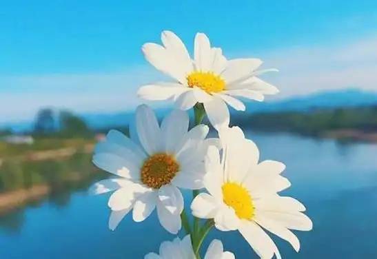 退网,落网?一字之差结局大不同!吴亦凡的事给男人提个醒