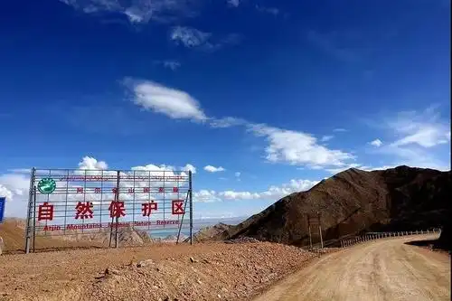 阿尔金山无人区千里穿行