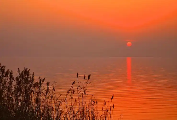 半条丝带系夕阳