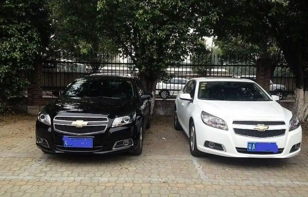 为什么白色和黑色车如此受欢迎?来看看两个颜色声量如何!_手机搜狐网