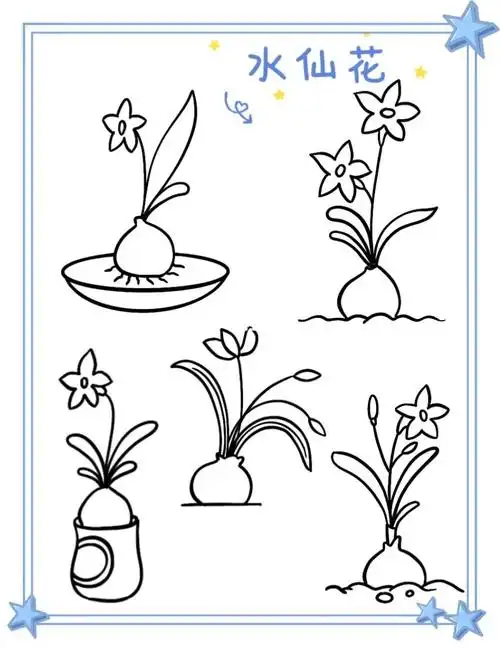 简笔画|水仙花 23/100