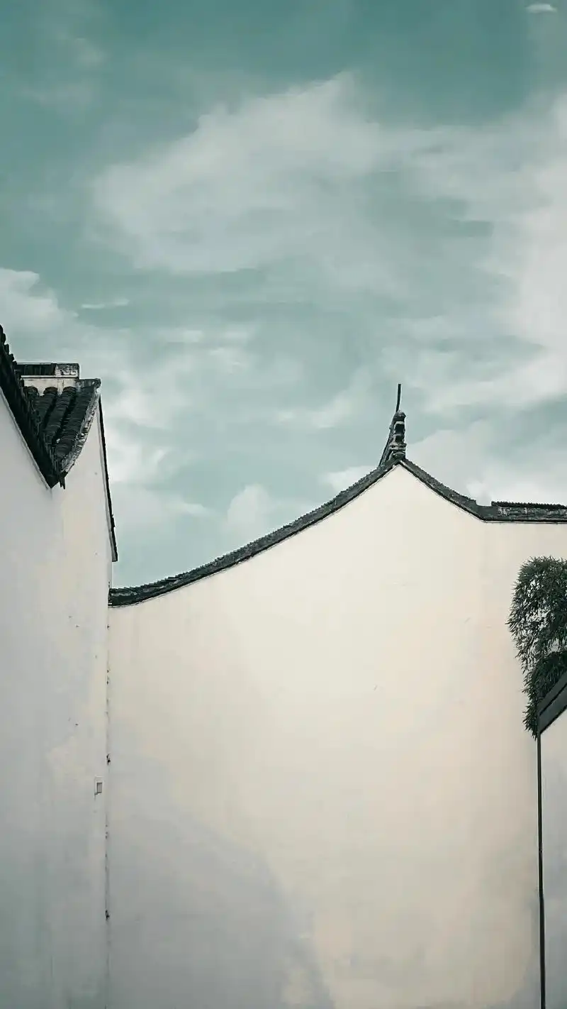 烟雨入江南,山水如墨染,白墙青瓦,自成一幅水墨画  #苏州博 - 抖音