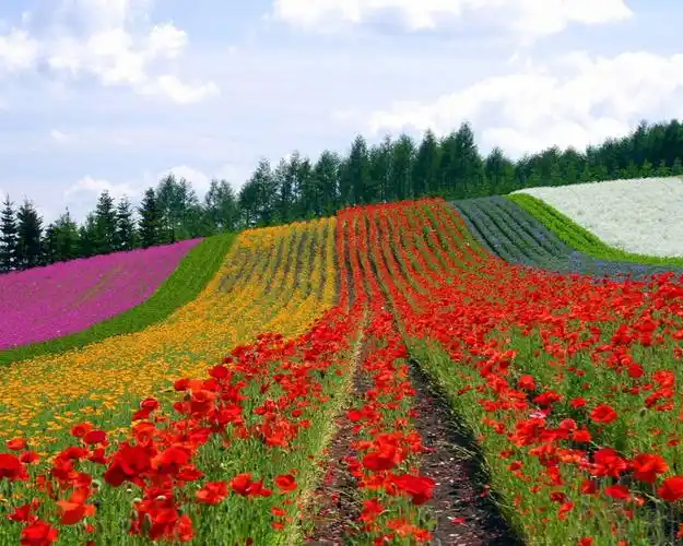 1024蓝天白云第四辑920