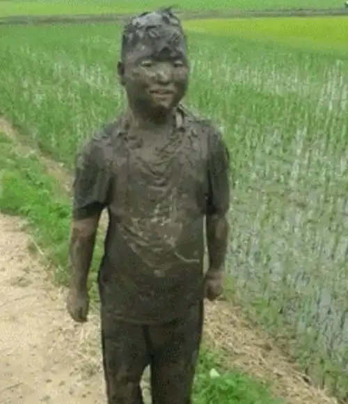 一家开车掉进田里,下一秒笑崩了,10张让人笑到肚子疼的动图