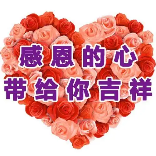 中老年表情包,简短问候,温暖在心