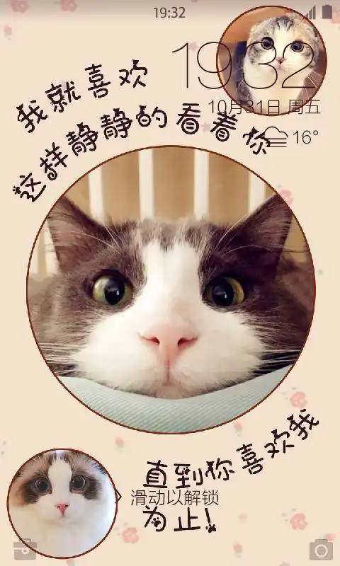 会说话的猫壁纸锁屏 v1.2.