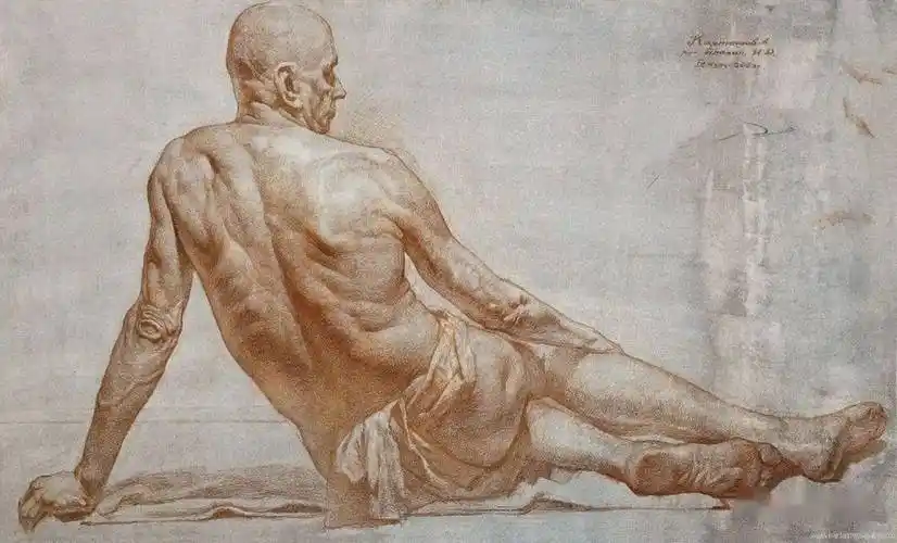 教科书般的人体素描卡尔塔索夫作品欣赏