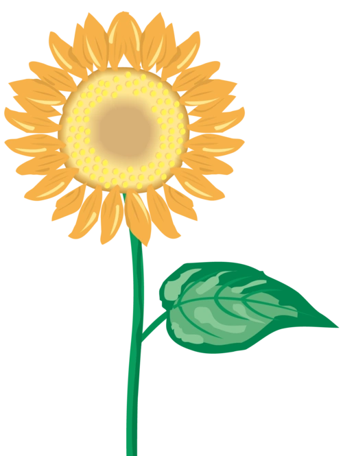 向日葵装饰图片大全
