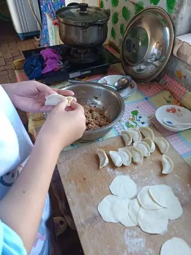 会包饺子的小美女是我