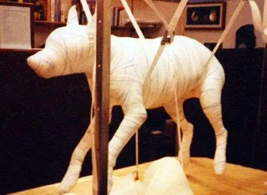 一只被制作成木乃伊的狗