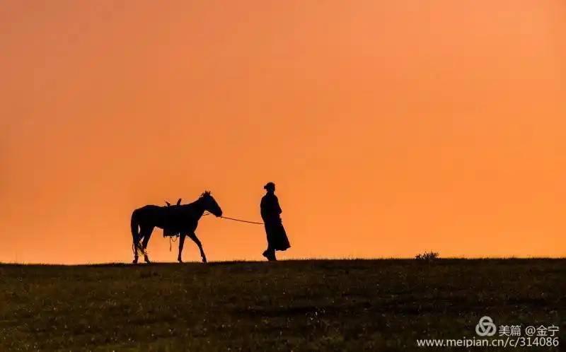 万马奔腾～西乌珠穆泌旗白马文化节