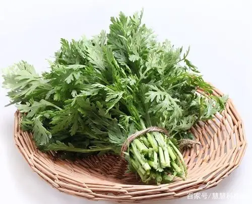 茼蒿:一种绿色的,有独特气味的蔬菜.