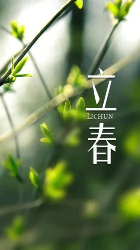 立春【no.186】2021.2.3,晴,美篇在线186天