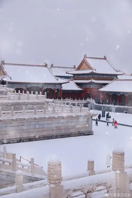 故宫的猫出来玩雪了##雪中故宫冬日氛围感拉满##天津停课