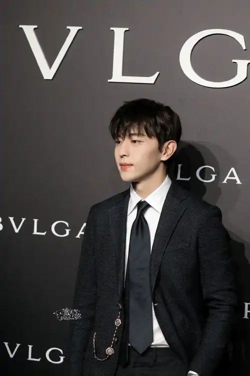 邓伦生图##邓伦西装鲨##宝格丽品牌代言人邓伦