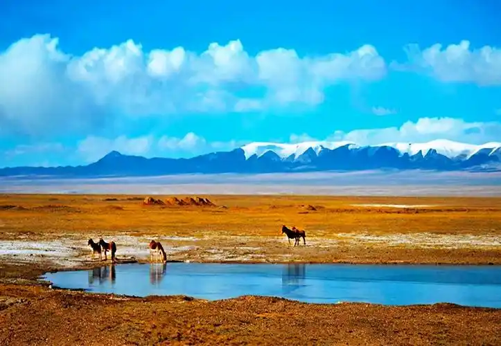 可可西里无人区在哪里?位于西藏羌塘与青海玉树交界处-第1张图片