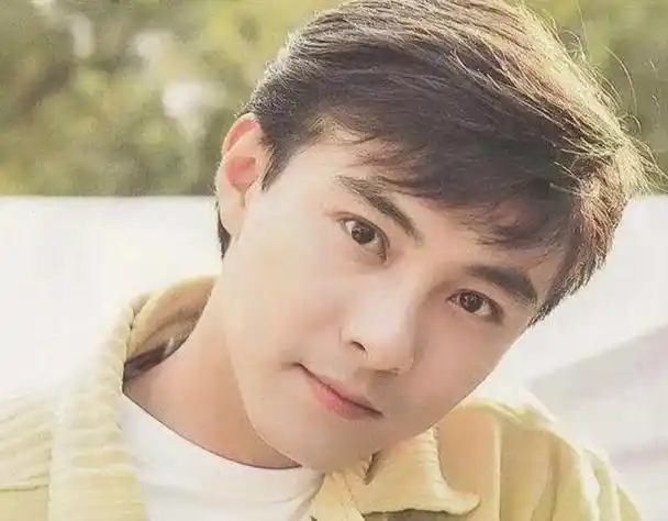 昔日阳光帅气的五位香港男星(不化妆不妖艳90年代的香港男星)