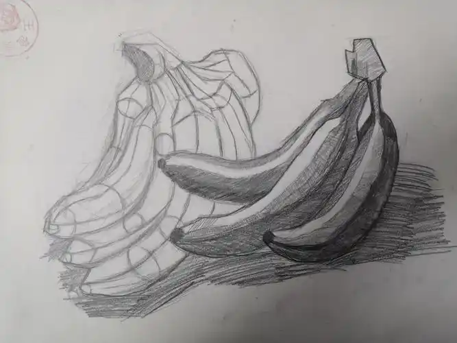 11月29日(周日下午)学生素描作业