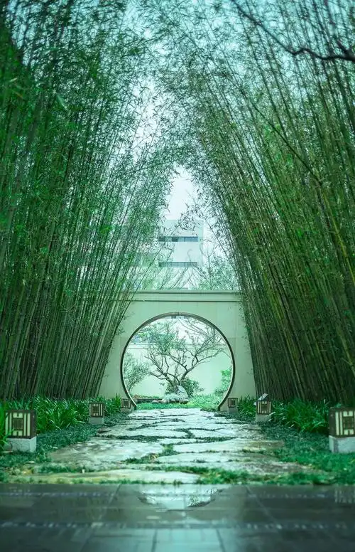 五个古香古色的中式庭院:园林景观美哉!(6)