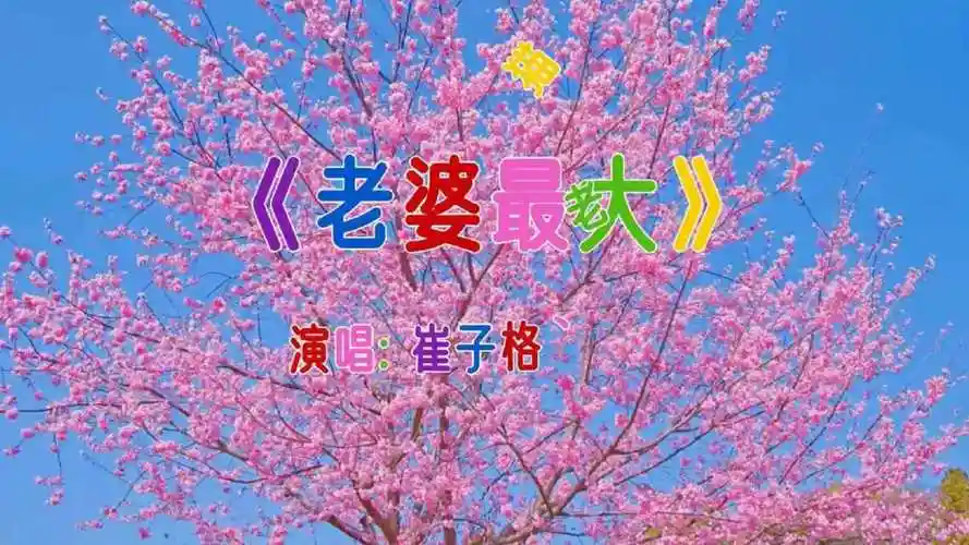 情歌对唱《老婆最大》,一首甜蜜幸福的爱情之歌,好好珍惜身边人