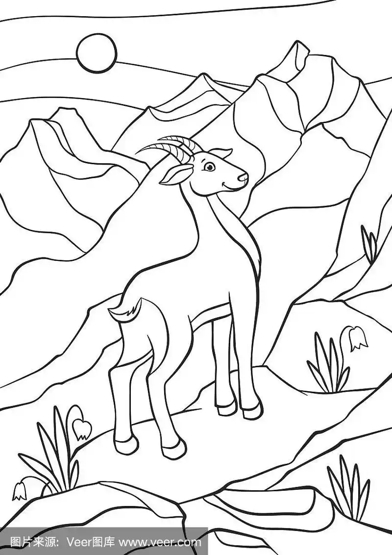 可爱的小羚羊站在岩石上微笑.