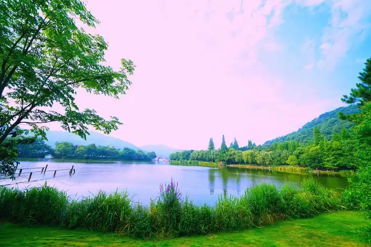 湘湖夏季的美色与荷花盛开的姿态.