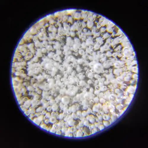 釉下气泡不能显示成珠,看上去是一团聚沫,这是在100倍放大镜下观察到