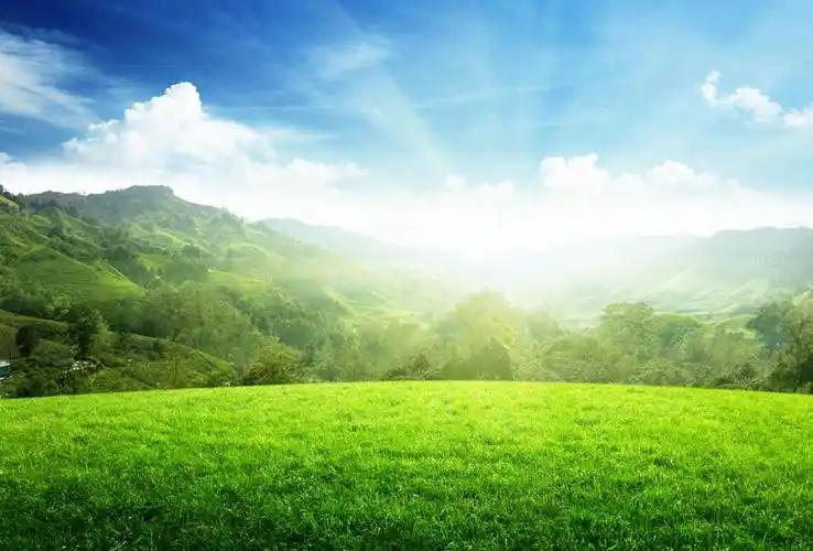 关于阳光校园我们是好伙伴的发言稿