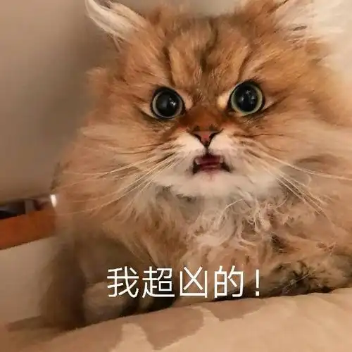 细雨留声 _ 哔哩哔哩相簿