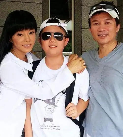 儿子犯错父亲表态吴宗宪求重罚成龙求原谅张国立默不作声