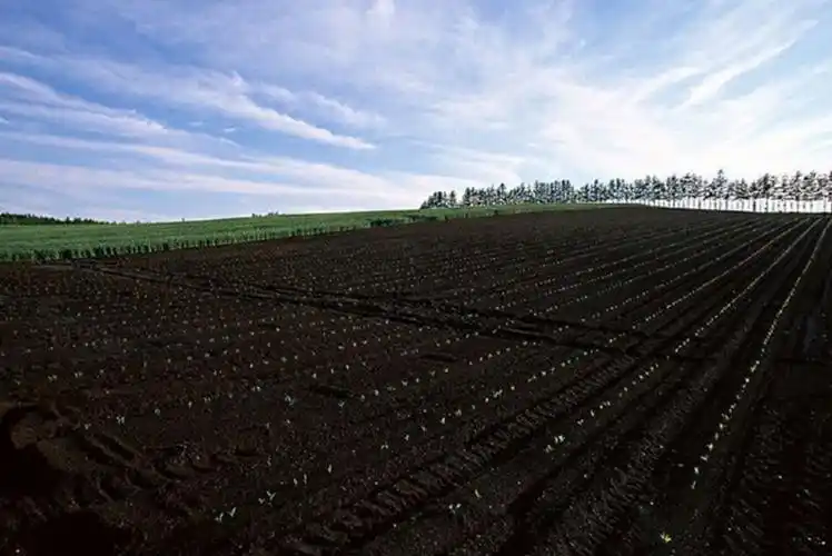 所有适宜农耕,具暗色腐殖质表土层的土壤,主要包括黑土,黑钙土,草甸土