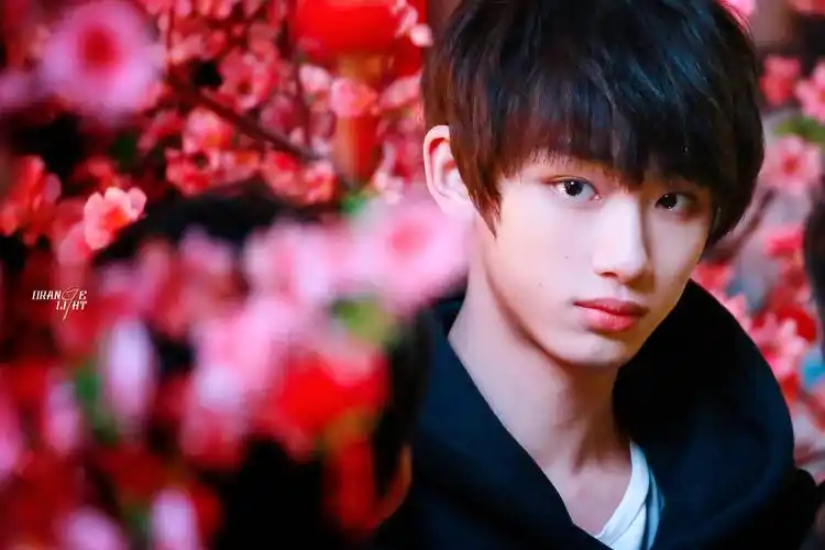 丁程鑫 上海路演