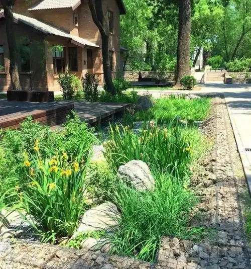 什么是雨水花园?