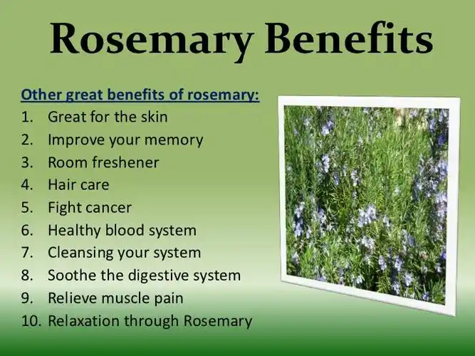 8000-25-7 rosemary oil price