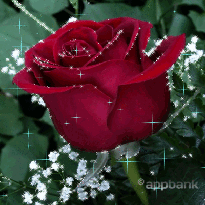 《嘀嘀嗒嗒到天明》