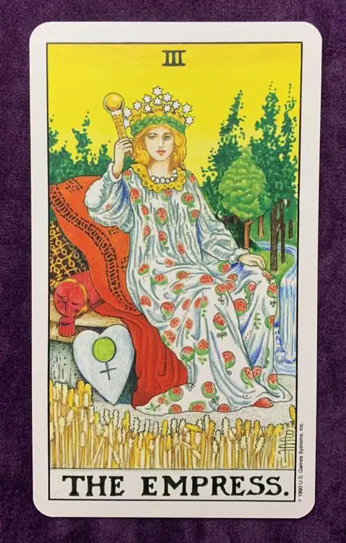 力量勇气和热情韦特塔罗牌日记