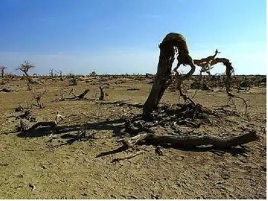 地球没水是什么样子的