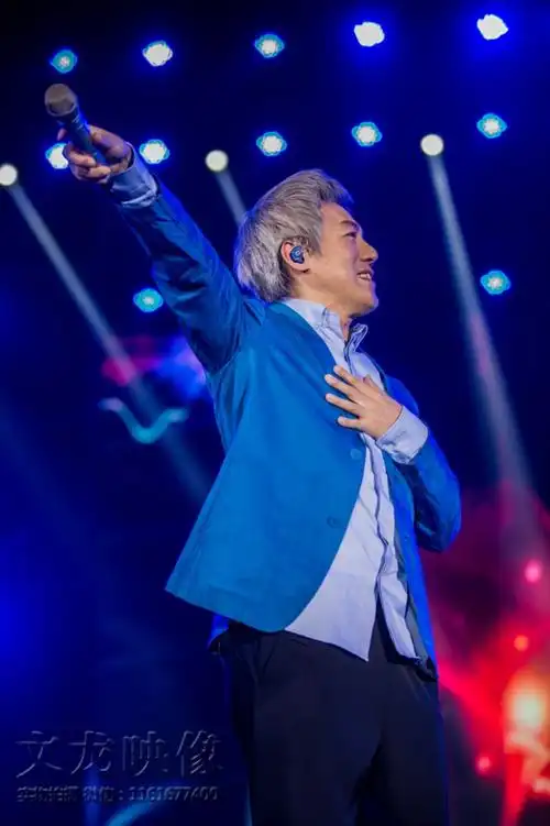 大哥-张宇演唱会