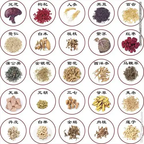 中药材保质期内才能保持疗效