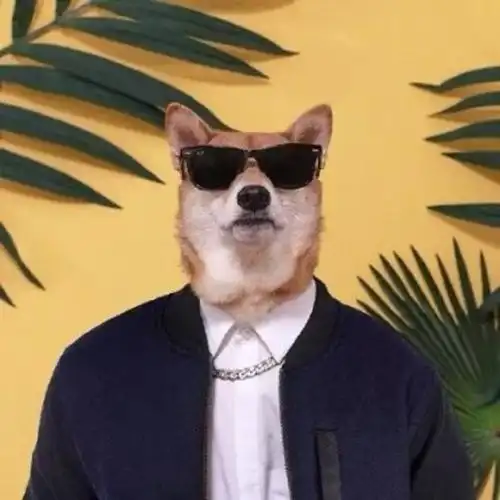 狗狗头像高清霸气(高级又沙雕的狗狗头像)-艾拉养犬