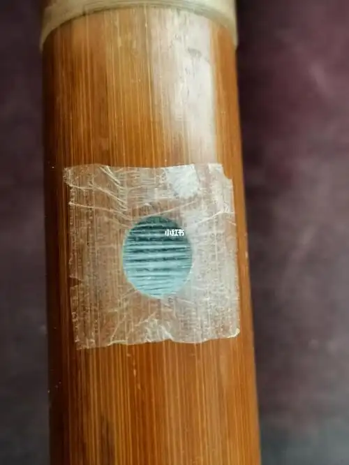 关于笛膜的一些个人看法,仅供参考