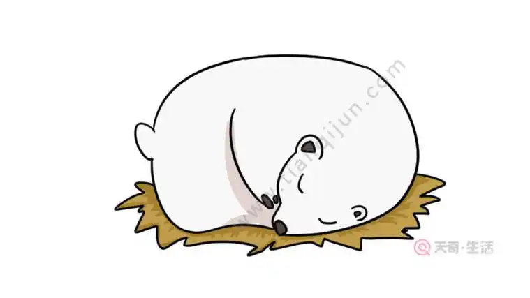 冬天动物冬眠简笔画教程