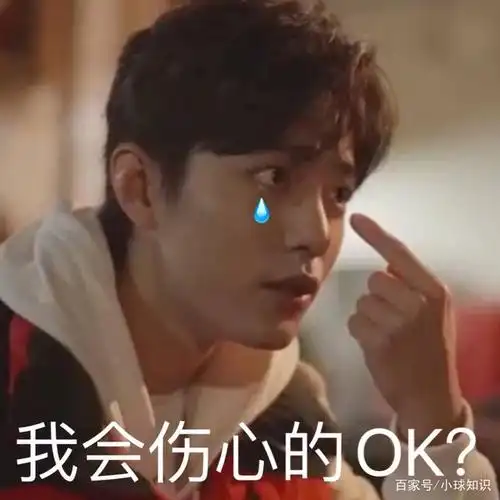 肖战表情包合集