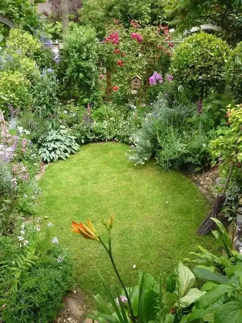 干货来了打造美丽花园从掌握这些植物搭配技巧开始